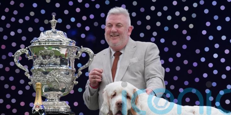 Clumber spaniel named Bruin crowned best in show at Crufts