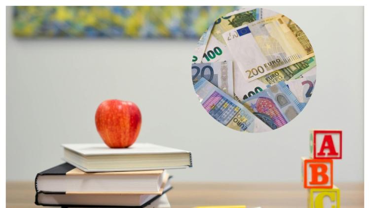 Irish primary school teacher who faked two births got &euro;59,000 in benefits