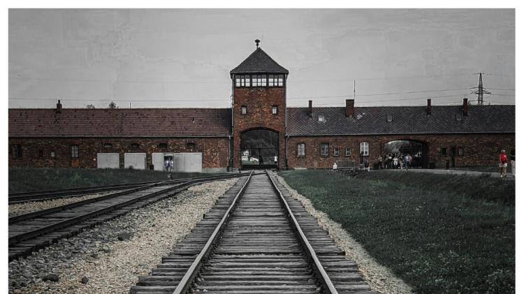 One in 10 Irish adults believe the Holocaust never happened, survey finds