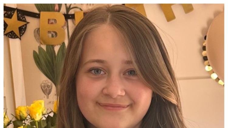Search stood down for missing 14-year-old girl last seen wearing school uniform amid Garda update