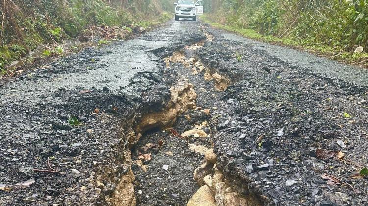 Famous face 'out for a spin' discovers what is surely Ireland's worst road