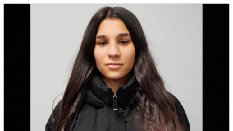 Search stood down for 16-year-old girl missing over two weeks as Garda&iacute; issue update