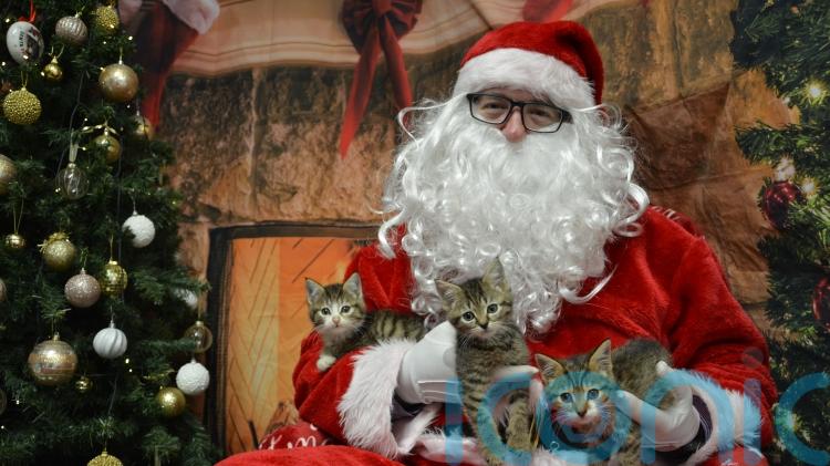 USPCA expands support for pet owners experiencing poverty