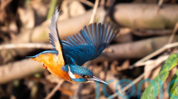 Wind and cold weather warnings due but no white Christmas for UK