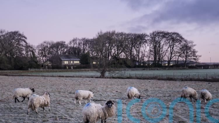 Snow warnings upgraded to amber in wintry start to new year