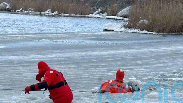 Dog saved by US firefighters after falling through ice