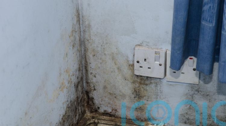 New rules will protect tenants from damp and mould, Scottish Government says