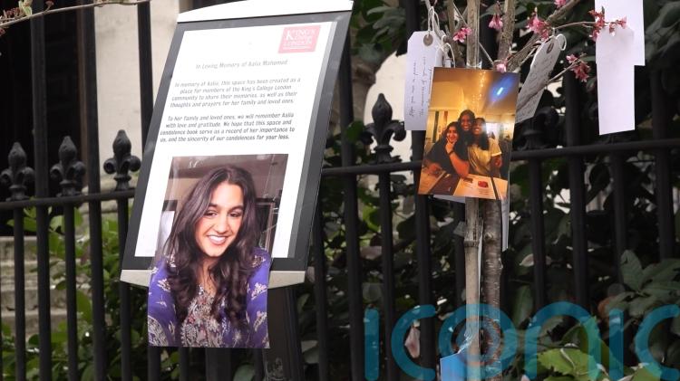 Van driver pleads guilty to killing university student in central London crash