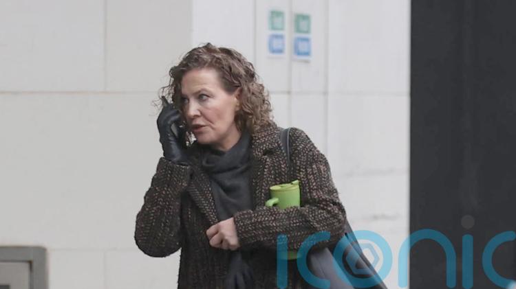 Woman tells inquest she heard two screams on night Noah Donohoe disappeared