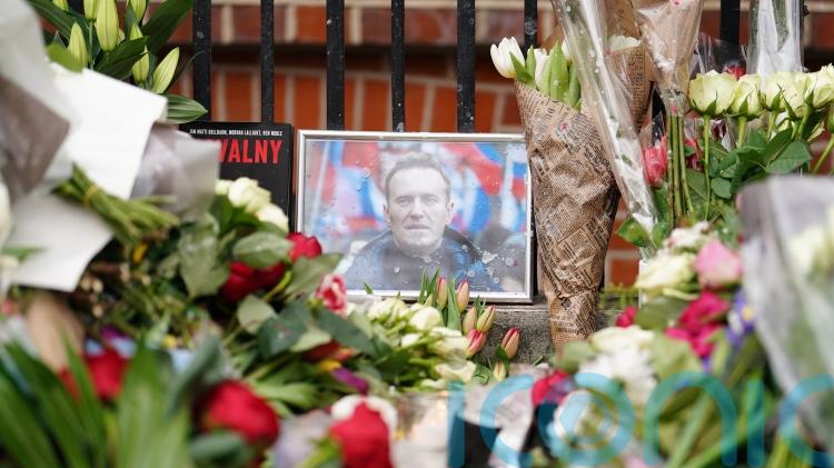 Who was Alexei Navalny and why would Russia poison him?