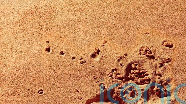 Everyday&rsquo;s a &lsquo;battle&rsquo; for sales, says 142-year-old firm betting on TikTok Shop