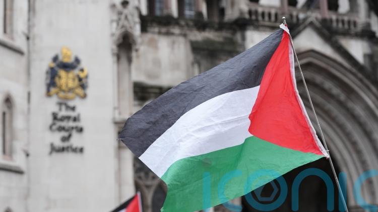 Palestine Action cases adjourned until appeal concludes, Chief Magistrate says