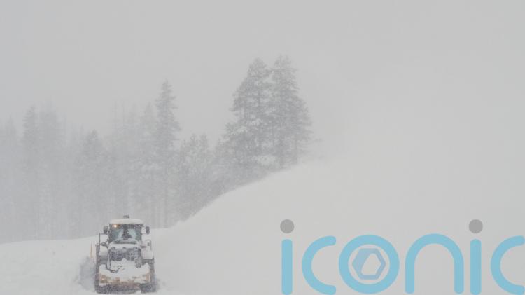 Eight skiers found dead and one still missing after California avalanche