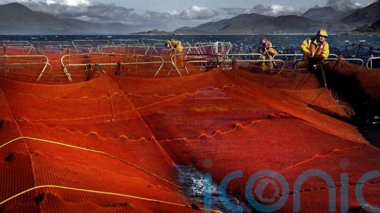 Scotland to send fishing net to Ukraine to defend against Russian drone attacks