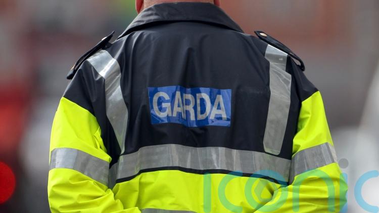 Fraud jumped in 2025 even as number of major crimes fell &ndash; gardai