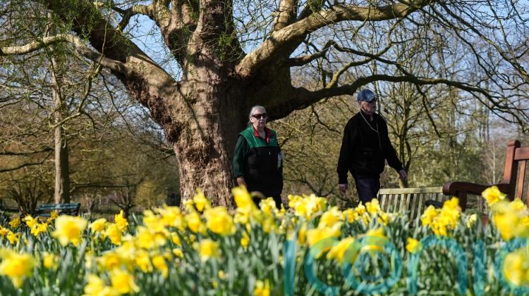 Sunny start to spring as temperatures expected to climb above average for some