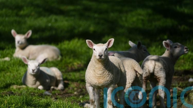 Temperatures peak on warmest day of the year so far