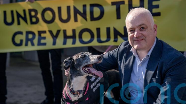 Scotland follows Wales in banning greyhound racing