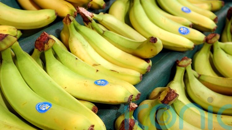 Supermarket gives out thousands of bananas for free after surplus order