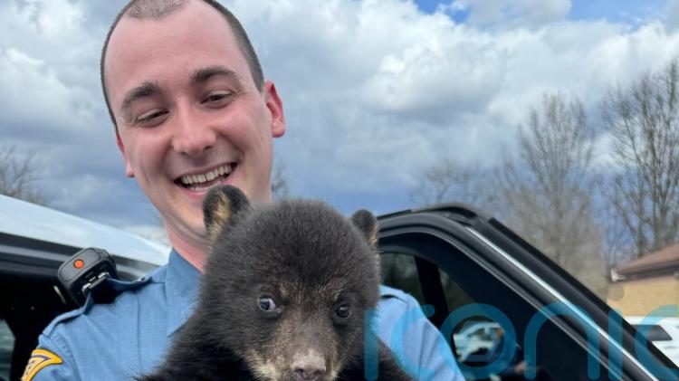 New Jersey state troopers rescue bear cub from roadside ditch