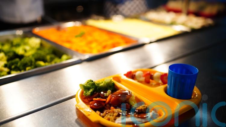 Deep-fried food to be banned on school menus and sugary treats cut down