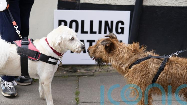Estimated declaration times for May 7 local and mayoral elections