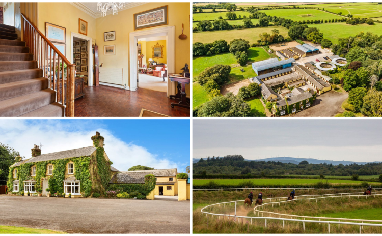 Well-known horse trainer’s home and race track goes up for millions in Tipperary