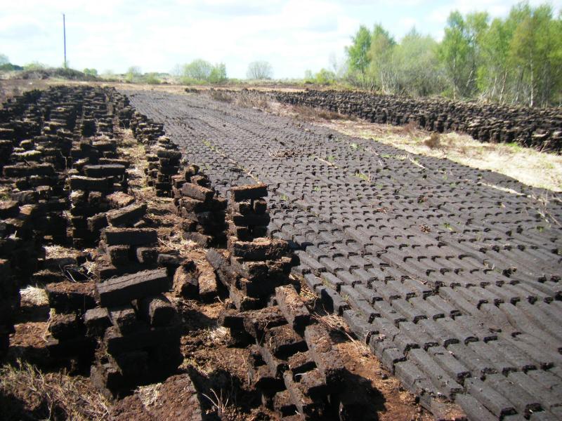 Vast amount of peatland in Longford and Roscommon transformed into Carbon Store in 2021