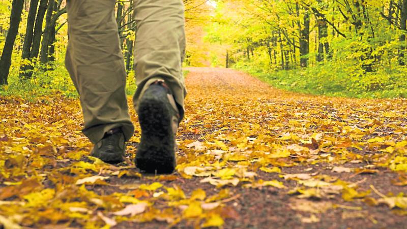 Men's walking programme to start on Monday in Glengoole