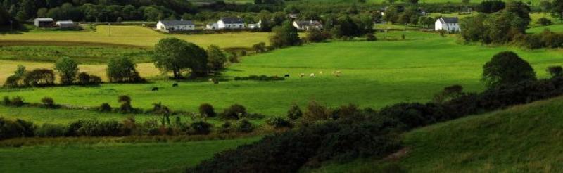 Louth land prices soar as demand and dairy drive surge
