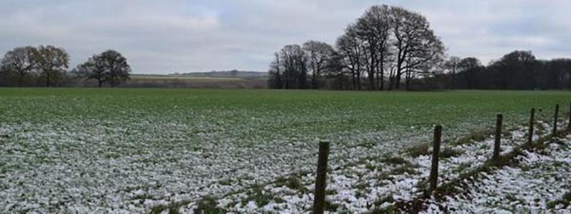 Scattered showers of rain, hail and sleet expected in Leinster today