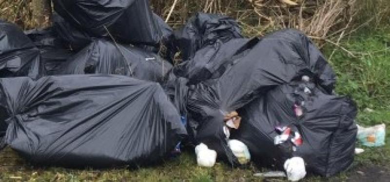 South Kilkenny public rally together to combat litter dumpers