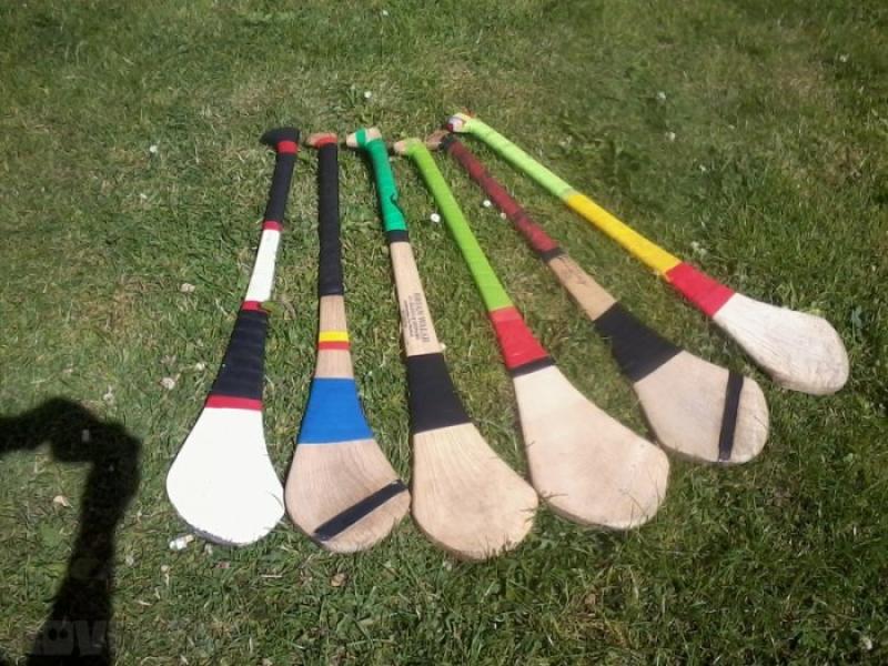 Sign up: North Tipperary GAA club holds registration day for new members