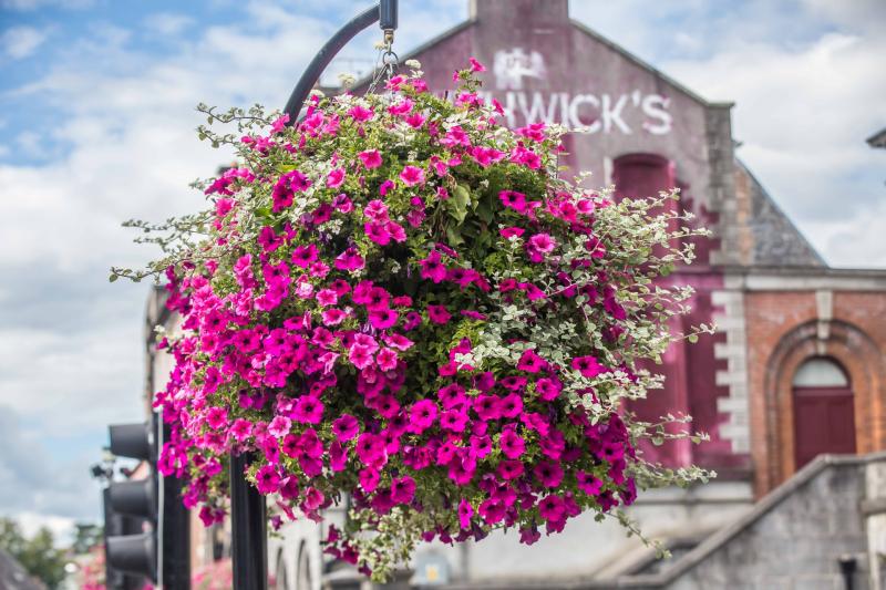 Annual county-wide Kilkenny cleanup day planned