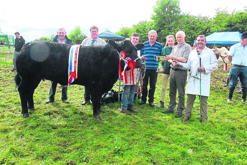 Cloone Agricultural Show takes place on August 7