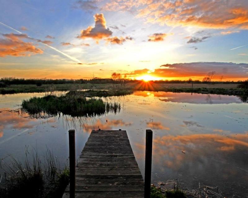 The Dying Days film showing in Tipperary to raise funds for the Wetlands Project