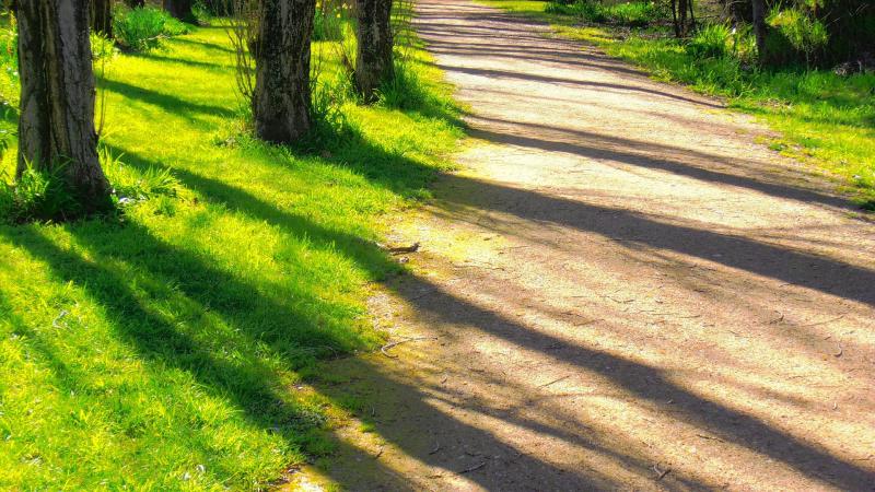 Popular Kilkenny walkway to close to the public