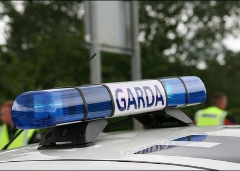 Gardai appeal for witnesses
