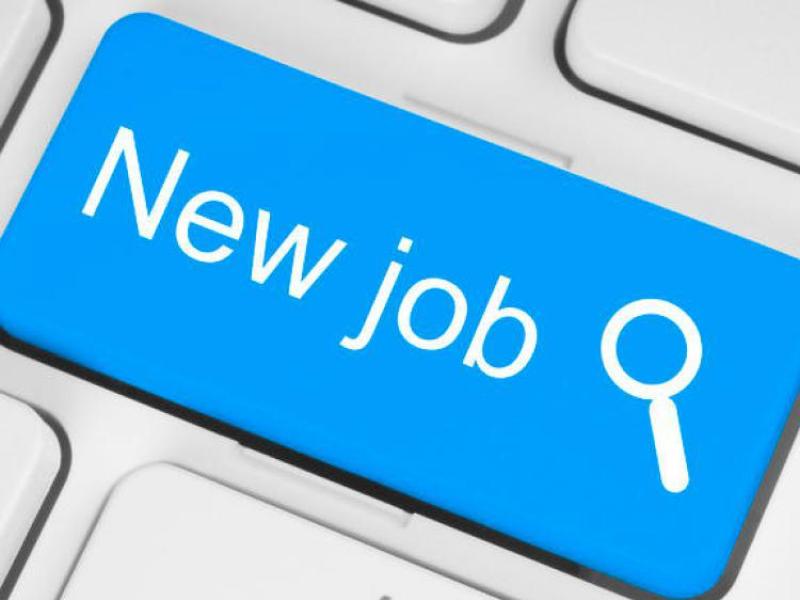 JOBS BOARD: Ten companies hiring staff this week 