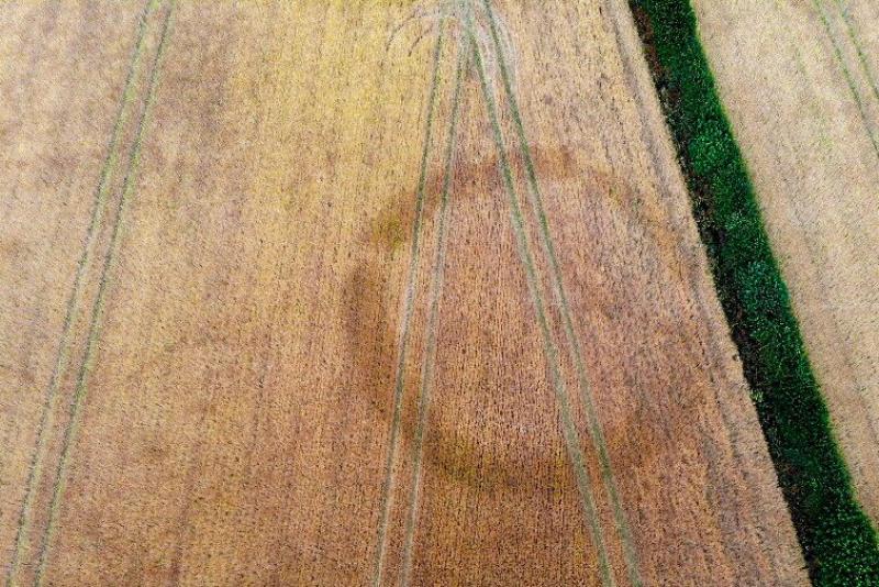 Kilkenny men discover prehistoric monument in Kilkenny field using drone