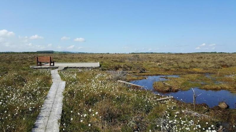 Tipperary heritage group receives &euro;29,000 in funding under community peatlands initiative