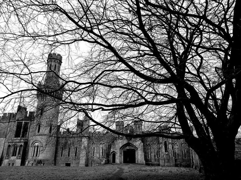 Carlow council seeks applications from caterers to operate new café at historic estate