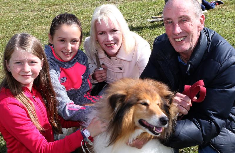 All roads lead to Laois for the Clonaslee Show