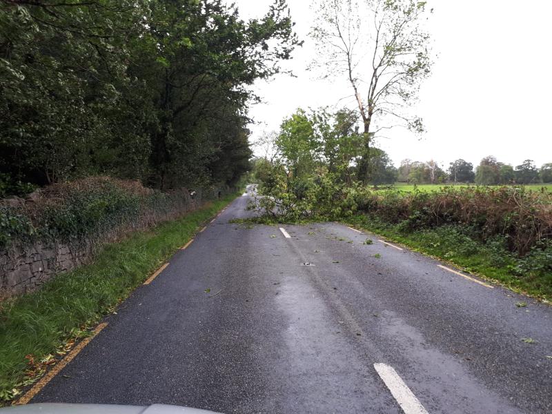 ALERT: Motorists beware of fallen debris on Kilkenny roads this morning