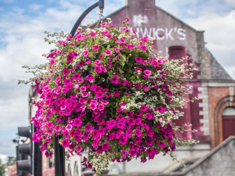 Kilkenny came second in the Tidy Towns competition