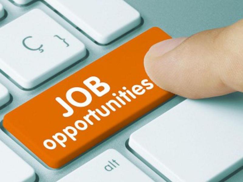 JOBS BOARD: Ten companies in Tipperary hiring staff this week