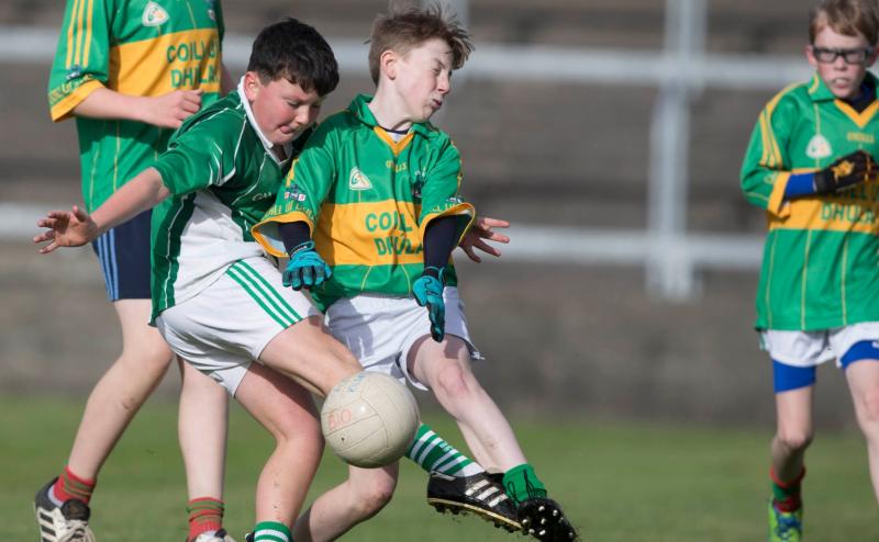 Portlaoise and Portarlington Laois County Final  rematch at Laois schools Gaelic Football fesitval