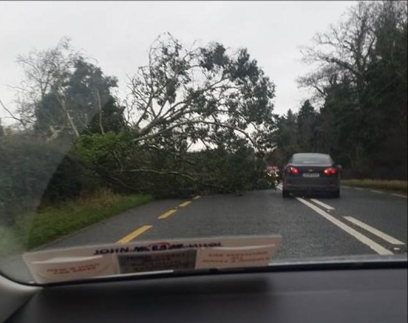 Alert: Met Eireann pinpoints when status yellow wind warning is set to hit Clare 