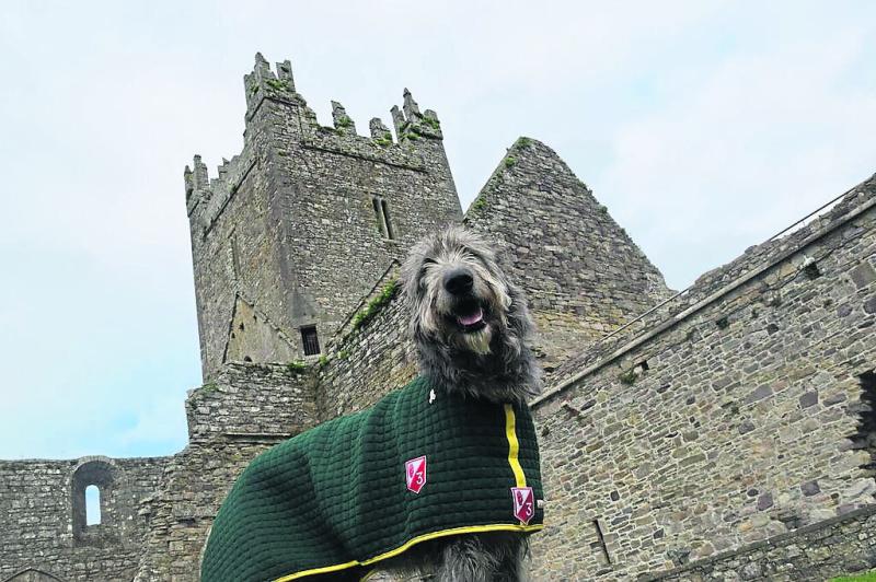 Kilkenny Kilkenny