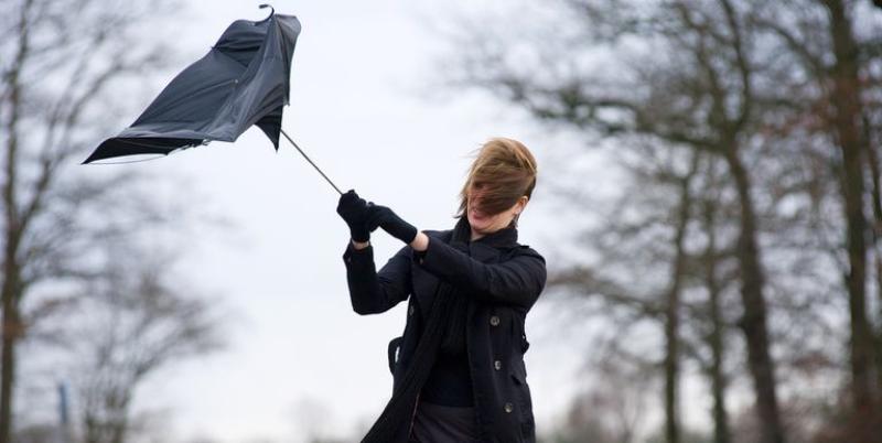 WATERFORD WEATHER: Strong winds and isolated thunderstorms expected today (January 11)